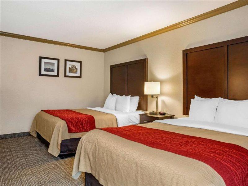 Comfort Inn Castro Valley Extérieur photo